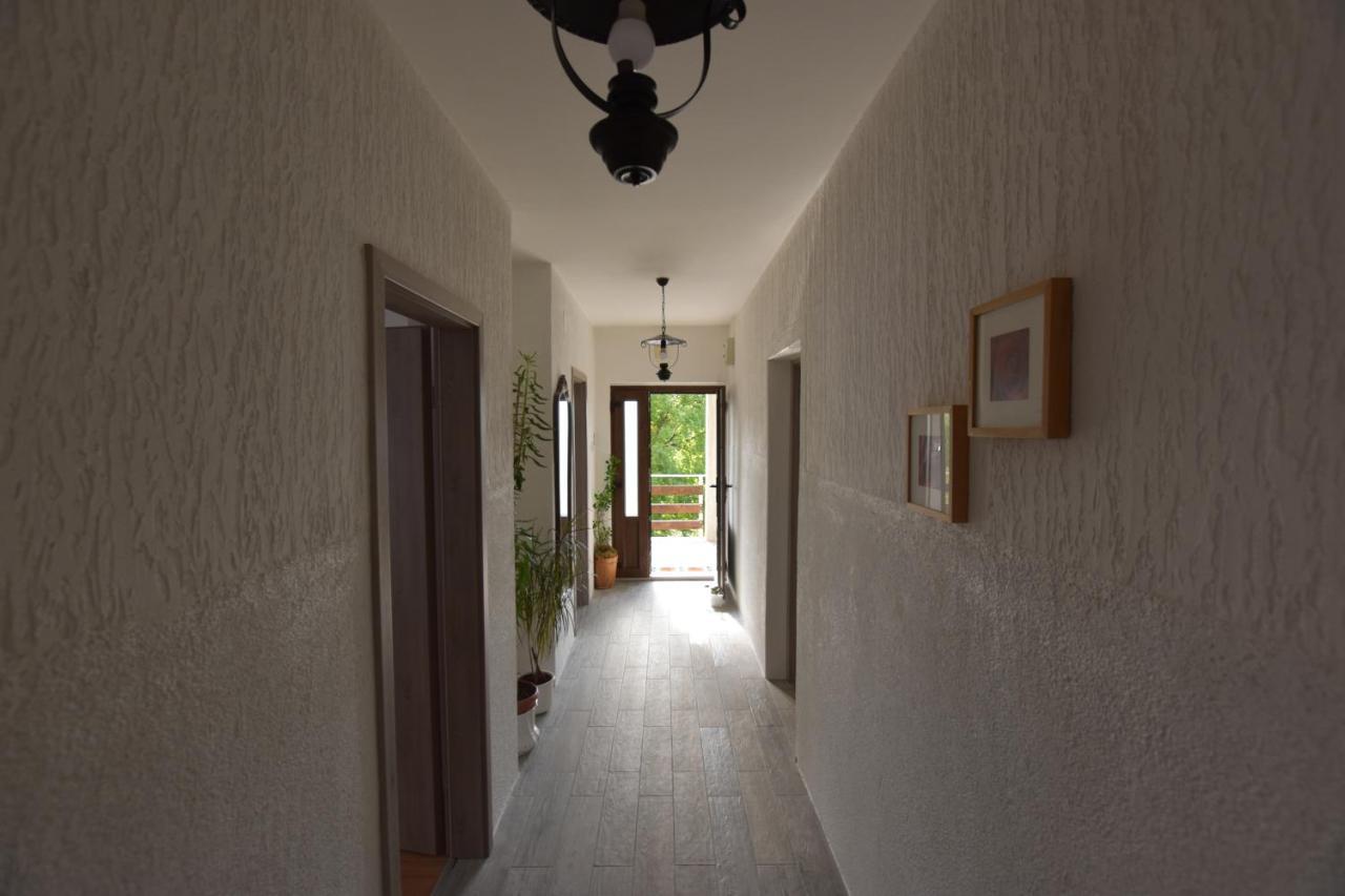 Apartments Frkovic Ledenice Exterior photo