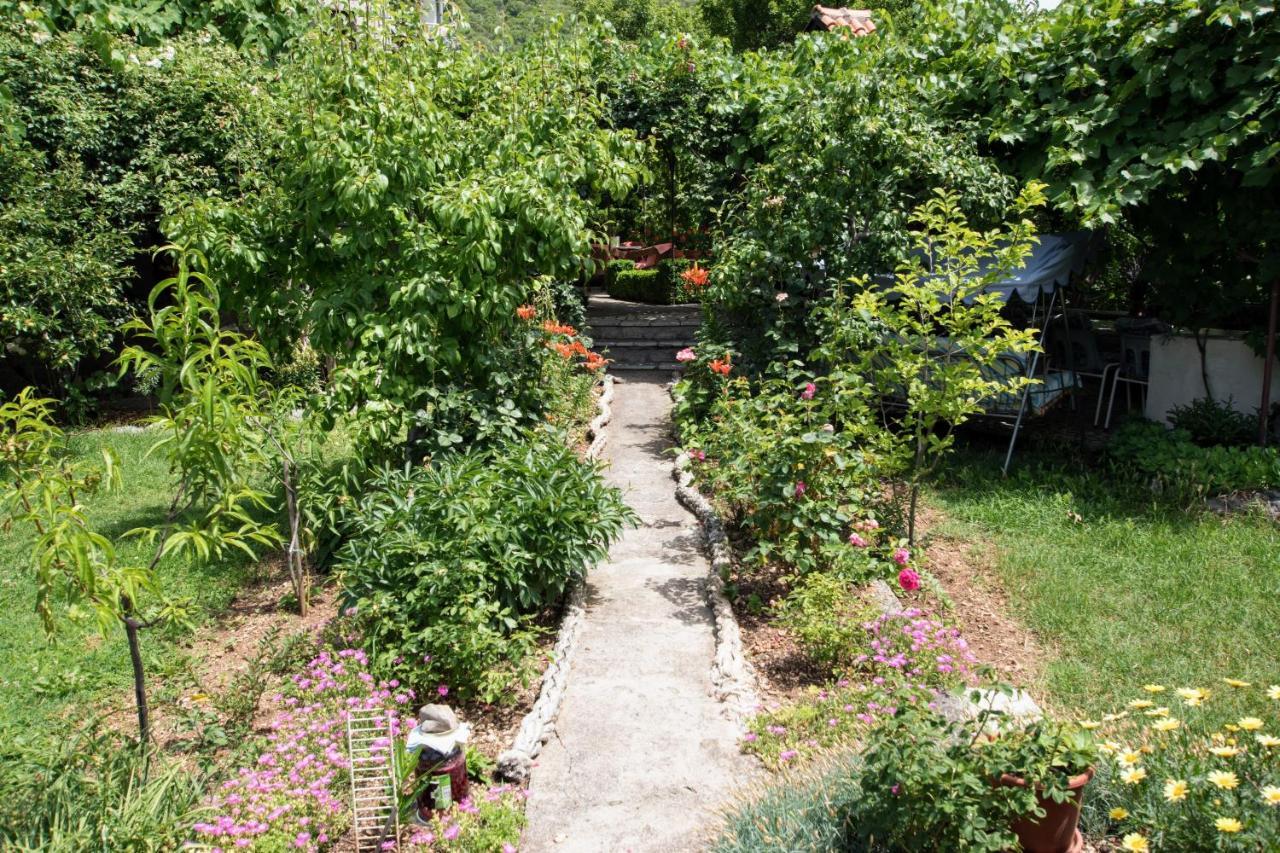 Apartments Frkovic Ledenice Exterior photo